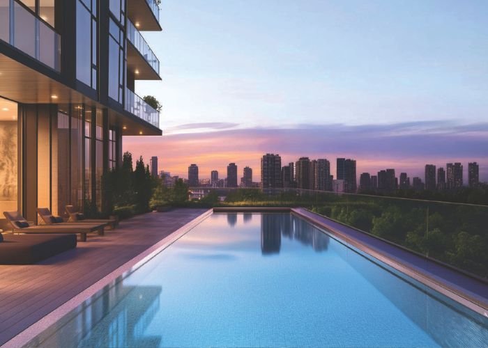 shapoorji pallonji the dualis